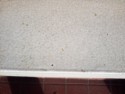 Photo taken Feb. 3rd, 2018.  Closeup of a windowsill. Masonic Home Cottage built completed November of 1926.  It was called the "Children's cottage" and was intended to house orphans of the Masons.  One year later it ws determined the orphanage was closed because relations between the elderly and the children were less than harmonious.  This building stands on the grounds of the "Grand Lodge".  Now owned and run by McMenimins as a hotel.  The cottage is referred to in L. A. Martins order book for Columbia Terra Cotta Company as "Masonic Home Cottage" and is order #162 and Glaze #403.