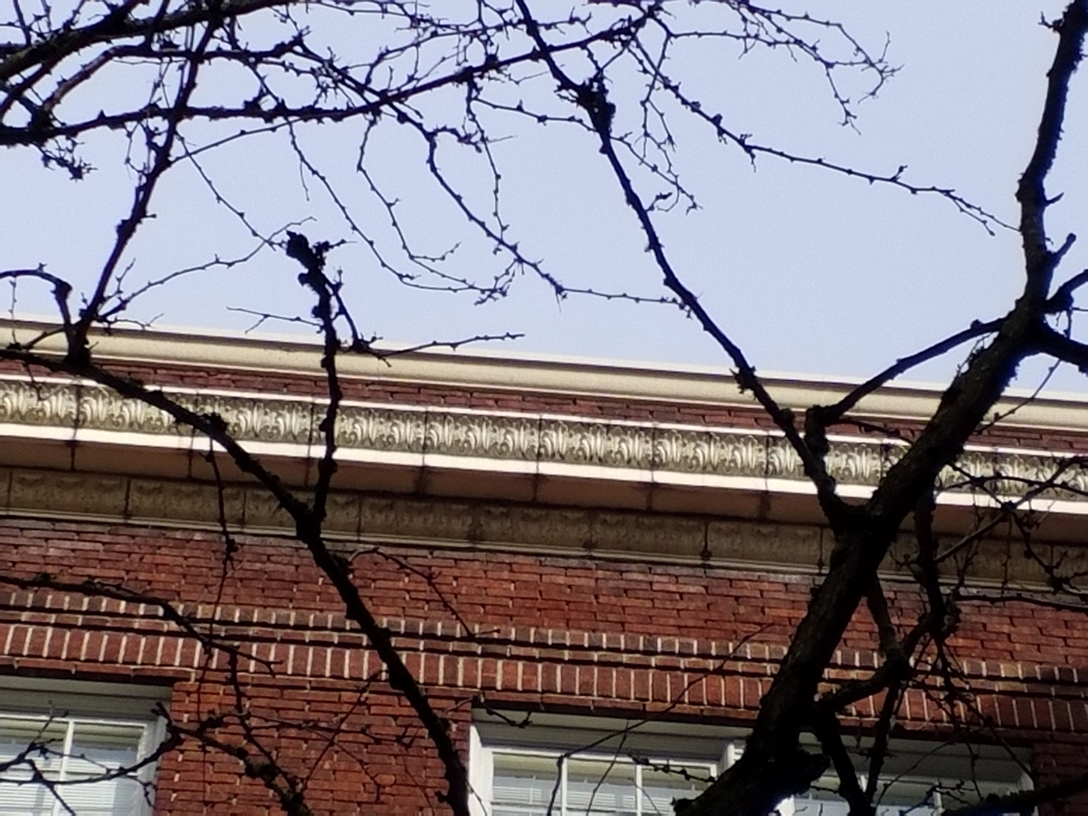 Photo taken Feb. 2018. The Regency Hotel, at Broadway and Columbia, (1410 S.W. Broadway),  built in 1927.  Architecht: E. J. Pape.  Order #178 Glaze #223 and #402 in Leonard Martins order book for Columbia Terra Cotta Co.  The name of the hotel was for a period of time "St. Andrews Hotel"