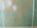Columbia Terra Cotta Company produced terra cotta exterior trim as well as interior wall tile, late 1927 or early 1928.  Orders 195 and 198.  Glaze 406.\nThe Vancouver Columbian, 1927-06-10,	Vol XIX No. 200 Page 1, "Contract is let for new building"\n"General contract for the erection of the new building for the state school for the deaf was awarded today to C. F. Martin of Seattle."